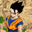 Son Gohan