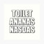 toilet ananas nasdas