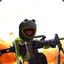 Kermit the Frog (Trading)