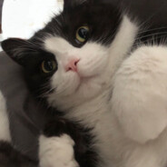 youcomeandbemyflower