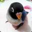 LovebirdMan