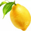 Limon