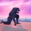 ravencapturez