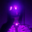 SosigSvoo