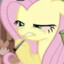 high ahh Fluttershy