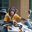 MOTOBOY