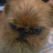 проказница илья