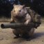 Combat_Wombat