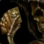 Dust_N_Bonez