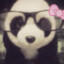 moo.bear