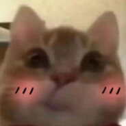 伯乐相马兄弟好马