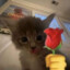little guy
