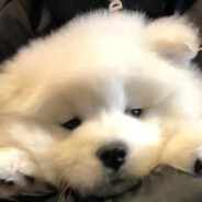 我真的玩完游戏再买