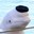 Beluga asesina