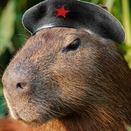 Comandante Capybara