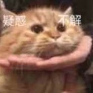 出不了金的狗子