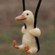 small duck on shoelace
