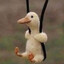 small duck on shoelace