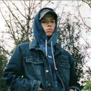 戴面具的鼠尾草