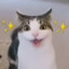 meep meep