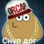 снупдогич)