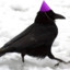 Party Crow