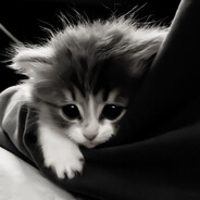 IZamu - steam id 76561199030541292