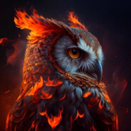 Lava Owl