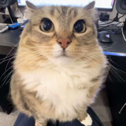 巴巴博一打游戏时候