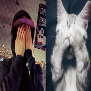 Avatar snapshot