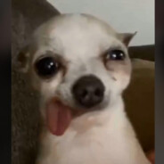 Tilinchito