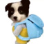 ChiChoO