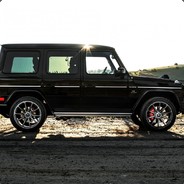 The fickleness of the world  Bot