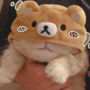 枪马网卡耳朵聋，你好我叫马卡龙