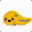 pancreassassin