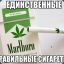 Marlboro