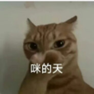 十七