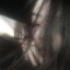 S1eNtY