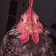 SargentPepper