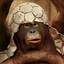 monky