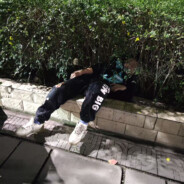 Glutinous rice balls