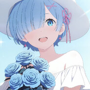 Plus_QwQ