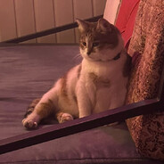 Proof - steam id 76561198353101118