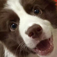 每天一杯冰美式.