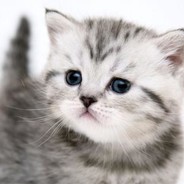 嫂子开门我是我哥