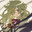 >ᴗ< Matsu Murasaki˙⋆✮