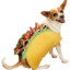 Perro Taco