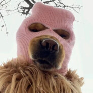 十五杠零我开转