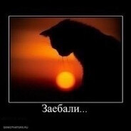 [голова, глаза]