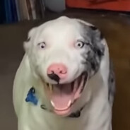 Dolbuyawp - steam id 76561198867823048